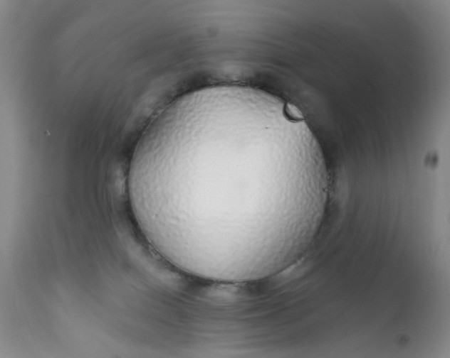 X0000112430086200909041447