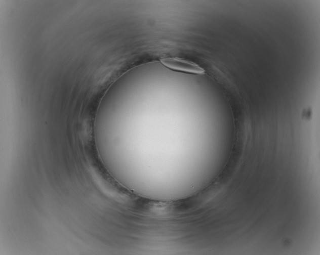 X0000112430088200909041447