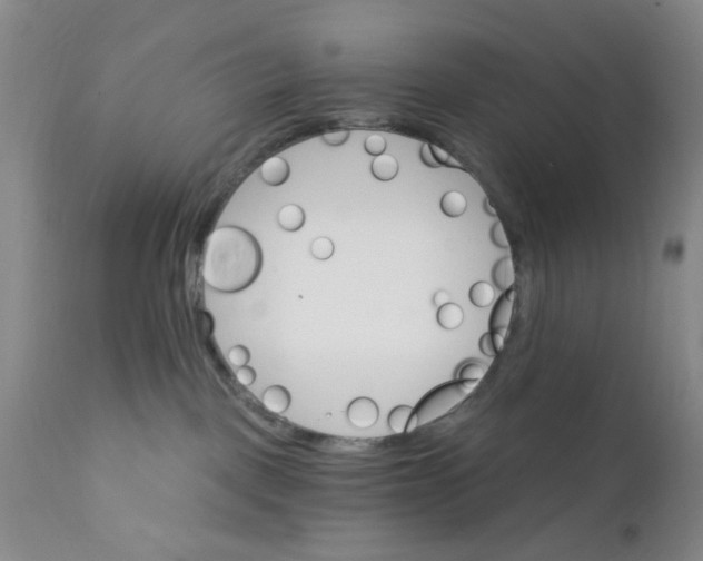 X0000112430093200909041447