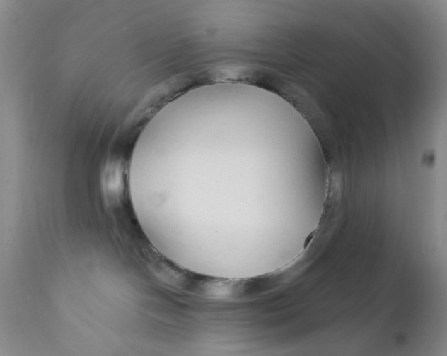 X0000112430094200909041447