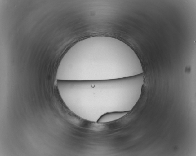 X0000112430095200909041447