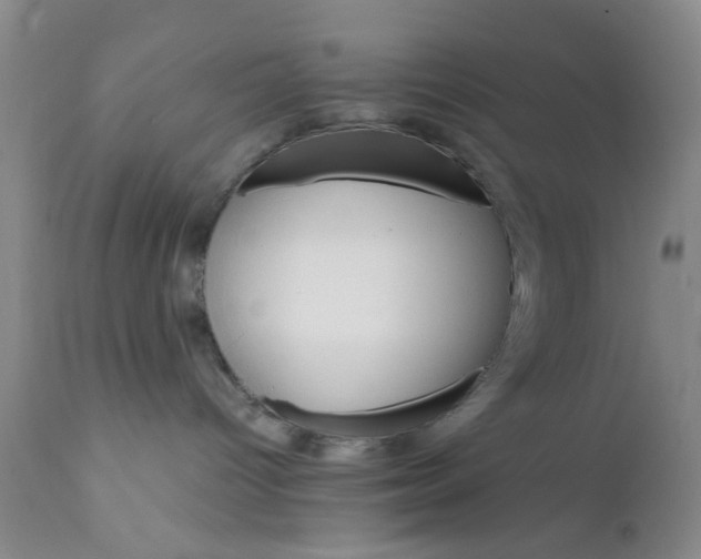 X0000112430096200909041447
