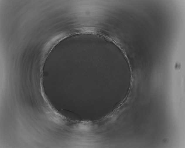 X0000112430097200909041446