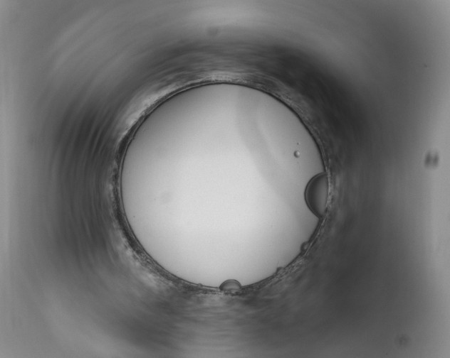 X0000112430098200909041446