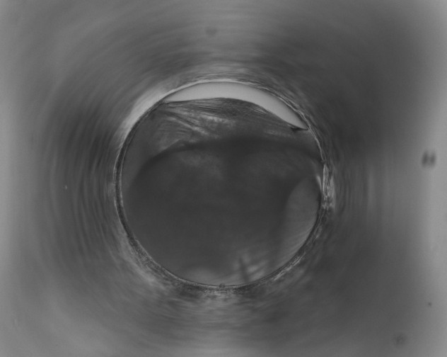X0000112430099200909041446