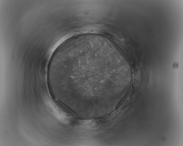 X0000112430100200909041446