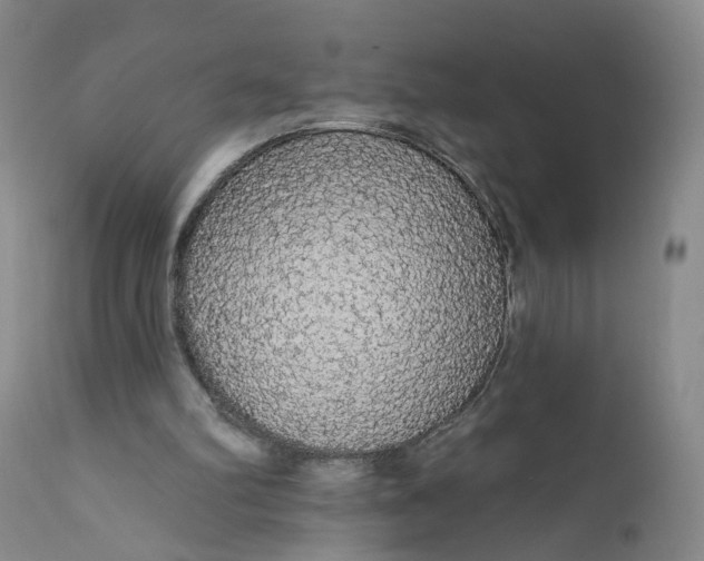 X0000112430102200909041446