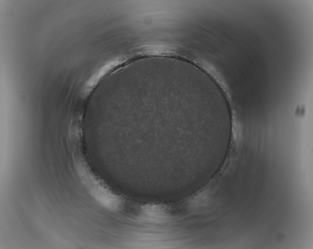 X0000112430105200909041446