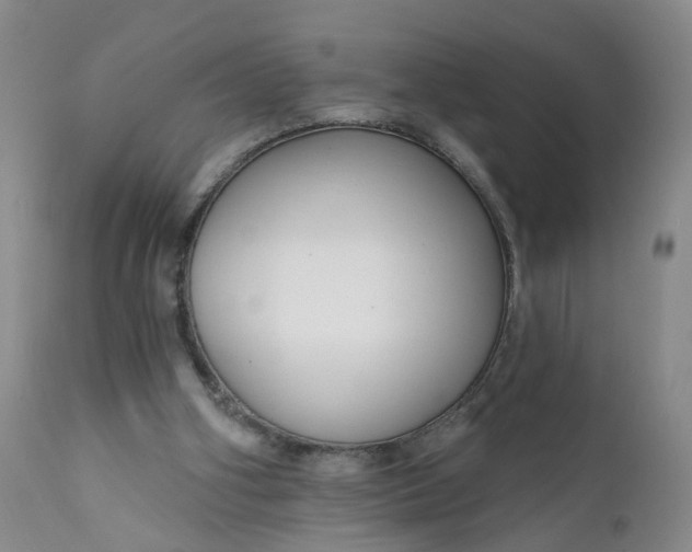 X0000112430106200909041445
