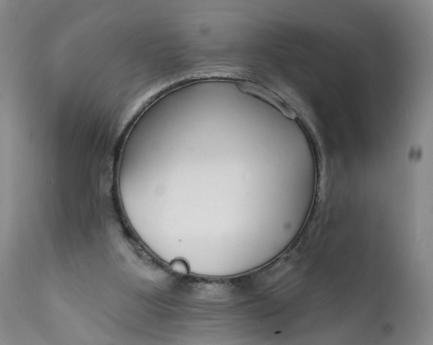 X0000112430107200909041445