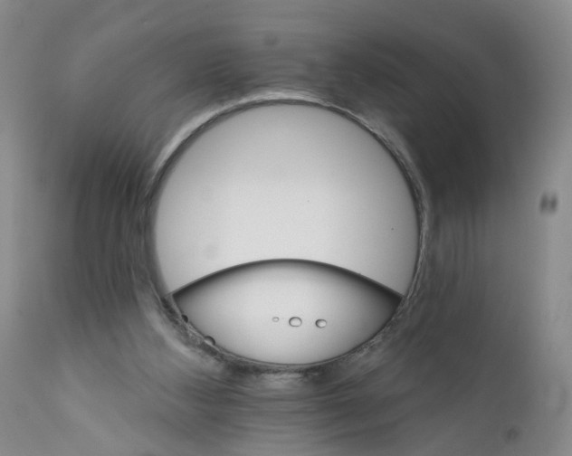 X0000112430108200909041445