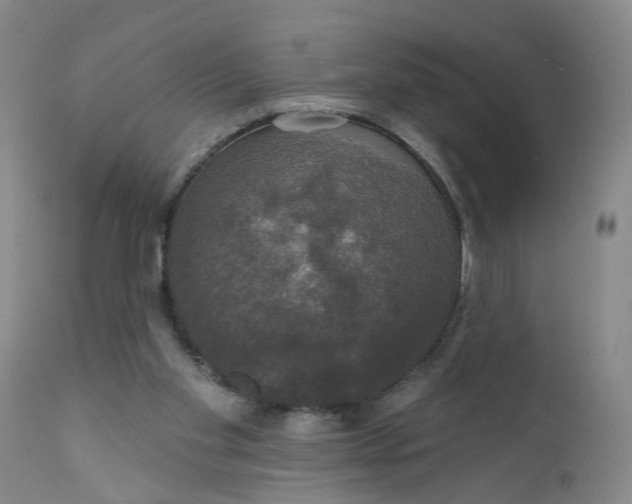X0000112430109200909041445