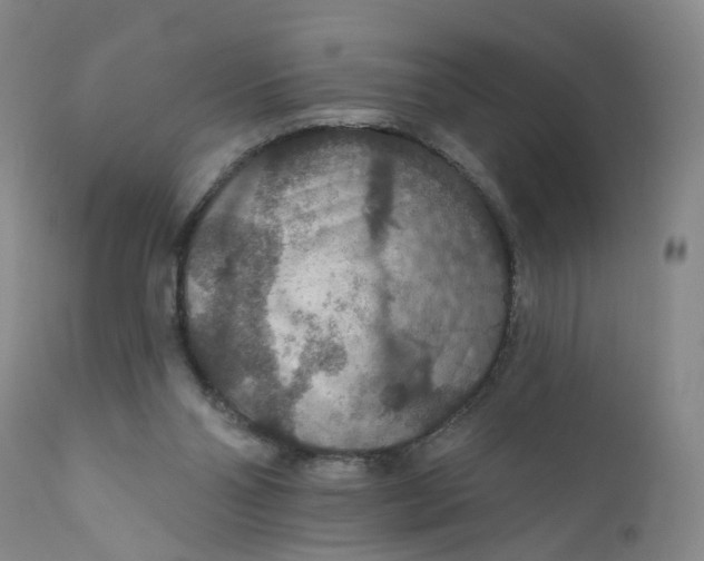 X0000112430110200909041445