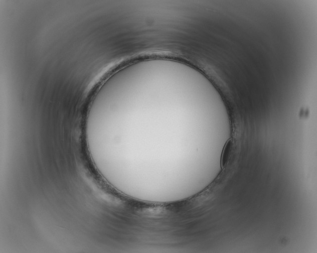 X0000112430112200909041445