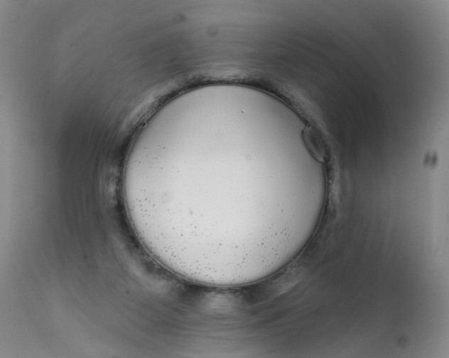X0000112430115200909041445