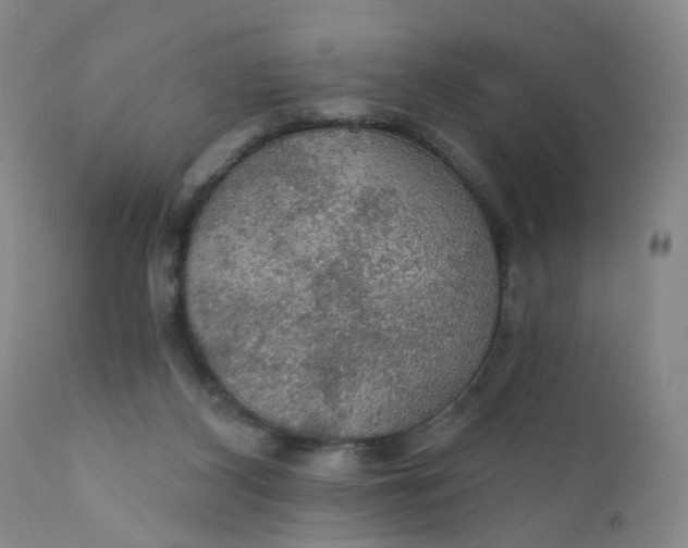 X0000112430116200909041445