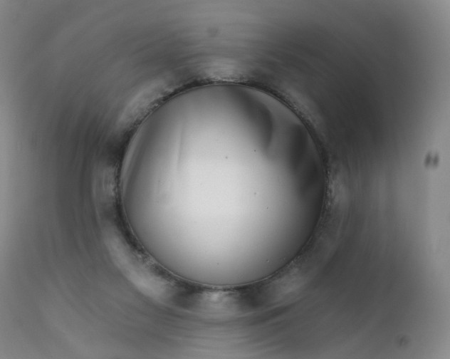 X0000112430117200909041445
