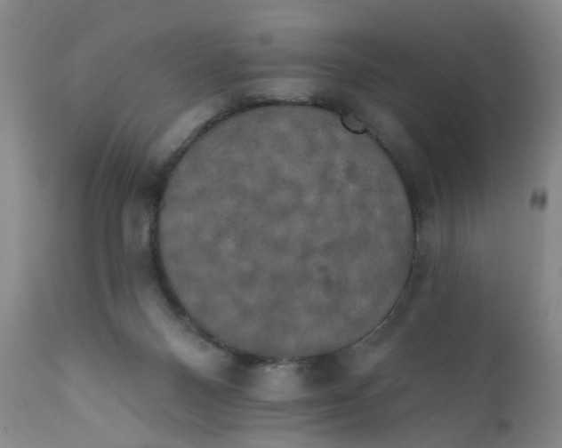 X0000112430120200909041445