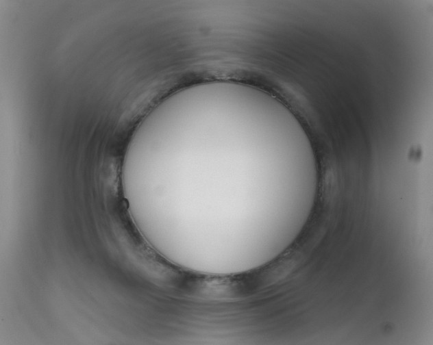 X0000112430121200909041445
