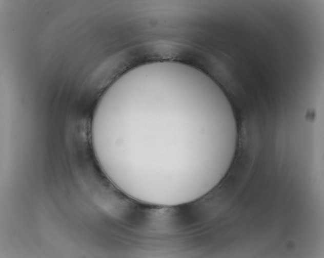 X0000112430122200909041445