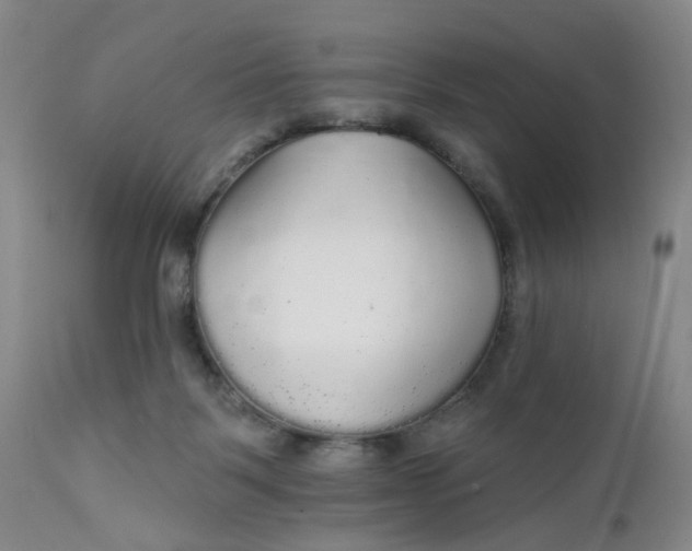 X0000112430123200909041445
