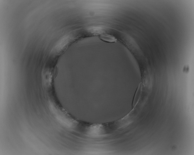 X0000112430124200909041445