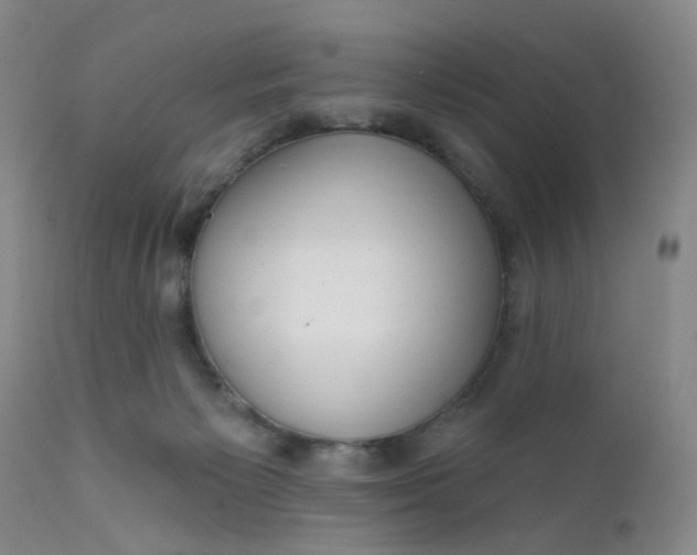 X0000112430125200909041445