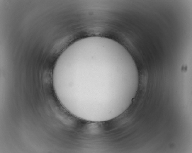 X0000112430126200909041445