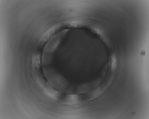 X0000112430127200909041445