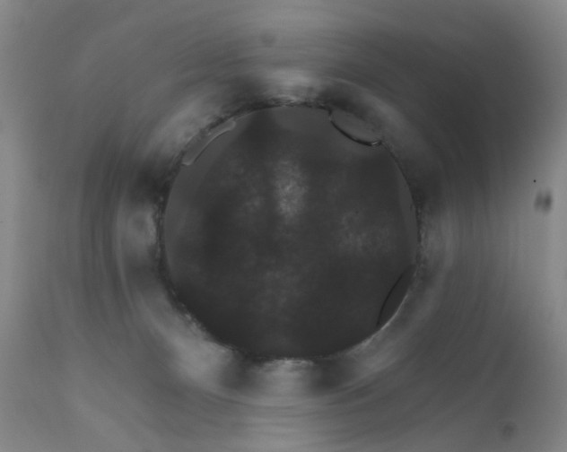 X0000112430128200909041445