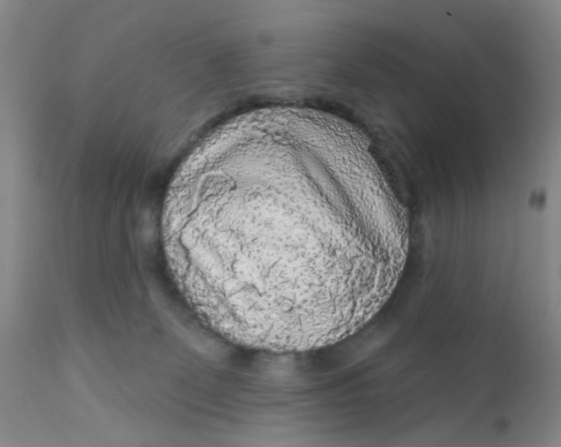 X0000112430131200909041445