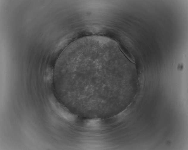 X0000112430132200909041445