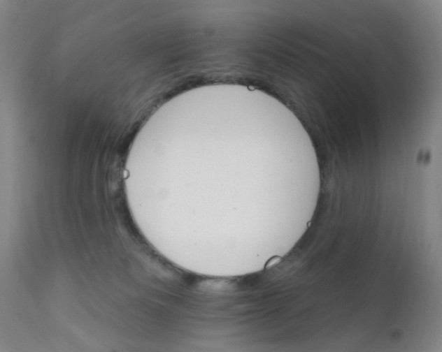X0000112430133200909041445