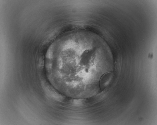 X0000112430134200909041445