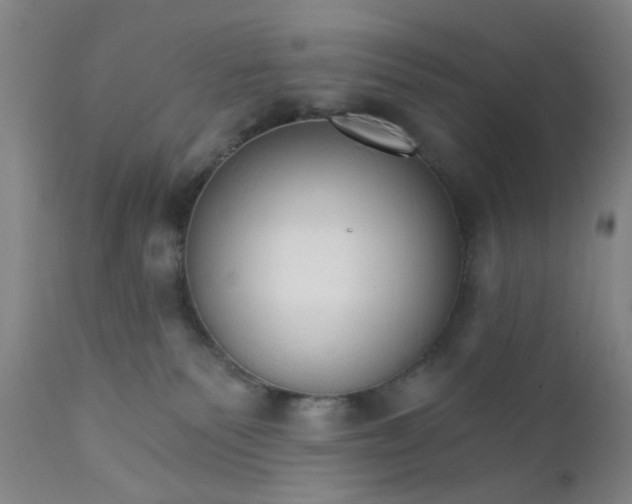 X0000112430135200909041445