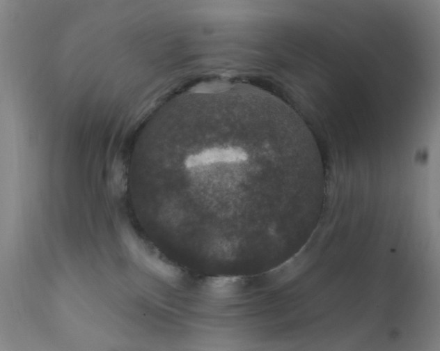 X0000112430136200909041445