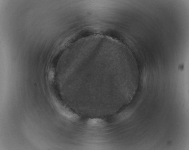 X0000112430137200909041445