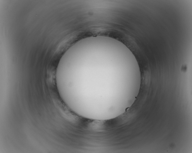 X0000112430138200909041445
