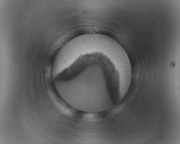 X0000112430139200909041445