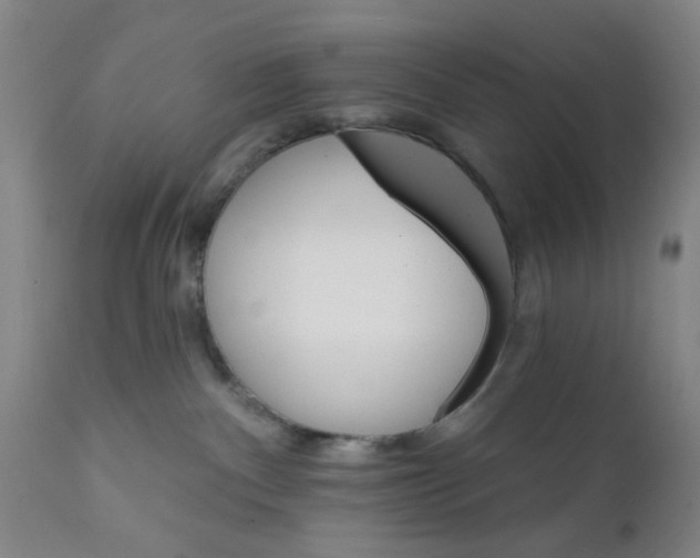 X0000112430140200909041445