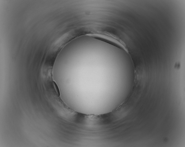 X0000112430141200909041445