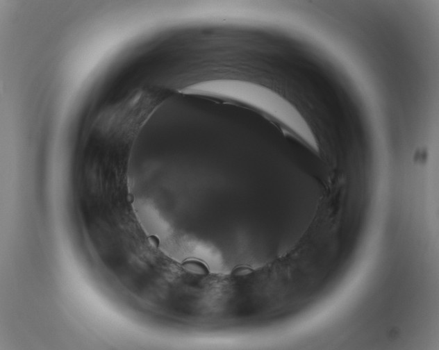 X0000112430143200909041445