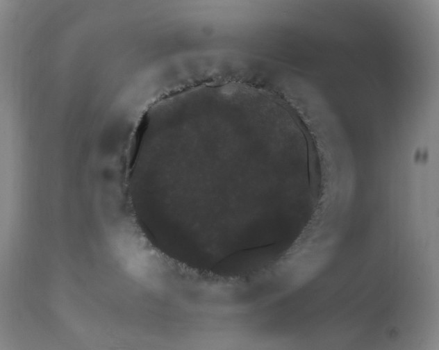 X0000112430144200909041445