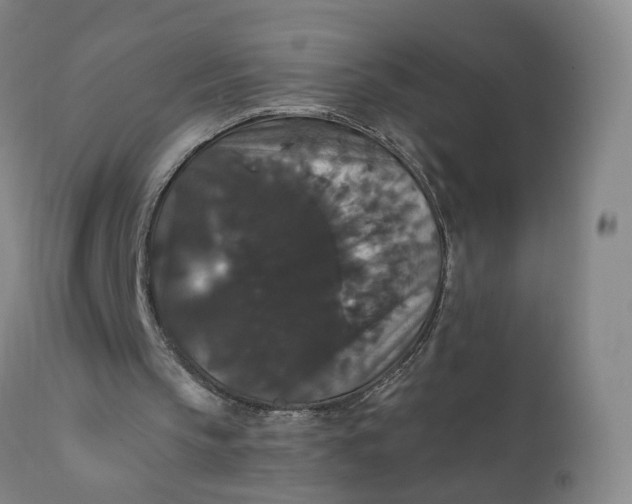 X0000112430145200909041444