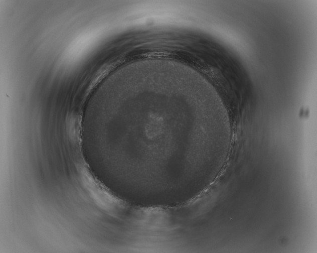 X0000112430146200909041444