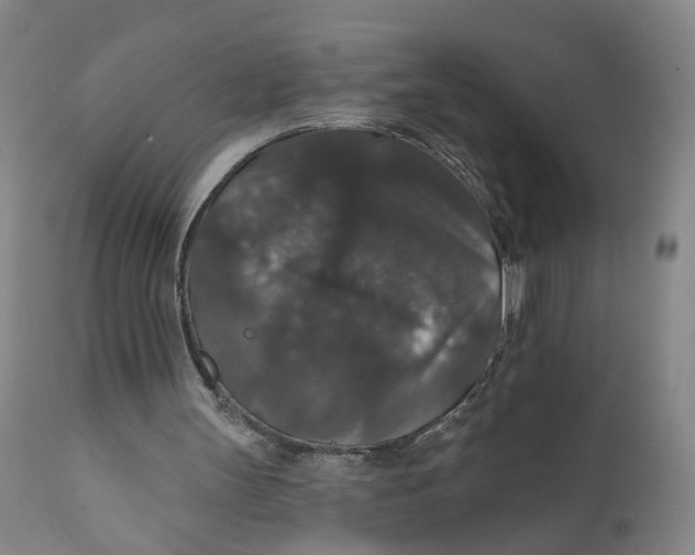 X0000112430147200909041444