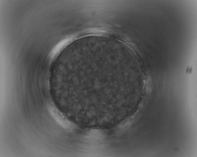 X0000112430149200909041444