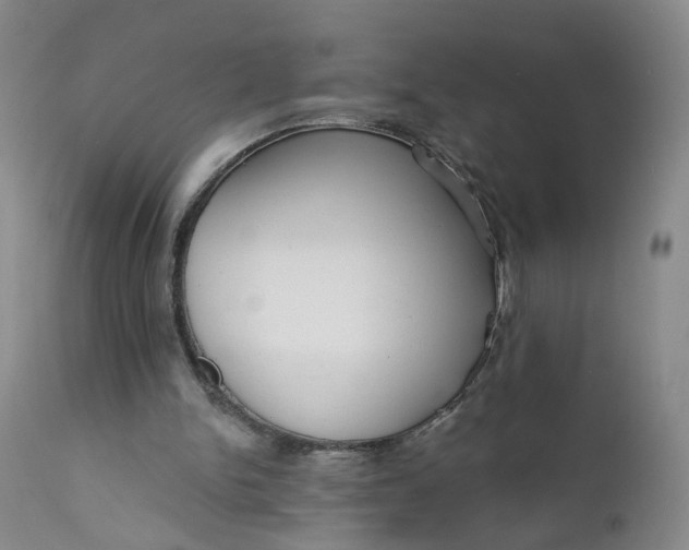 X0000112430150200909041444