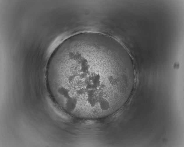 X0000112430151200909041444