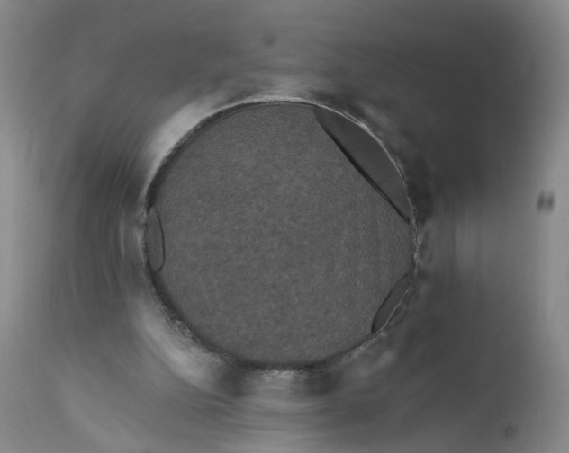 X0000112430152200909041444